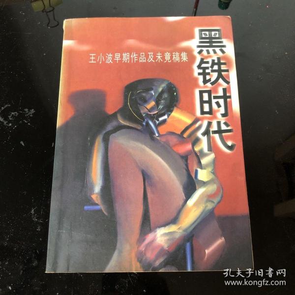 黑铁时代：王小波早期作品及未竟稿集