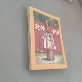 老外侃中国