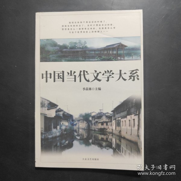 中国当代文学大系