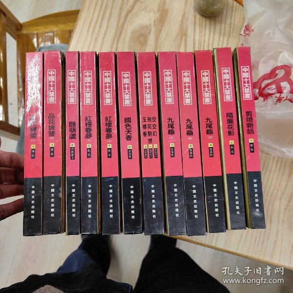 中国十大禁书：《剪燈新话》《醋葫芦》《品花宝鉴》《隔簾花影》《国色天香》《飞花艳想》《空空幻》《玉楼春》《红楼春梦》 《九尾龟》