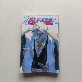 BLEACH 境·界20：催眠的终结