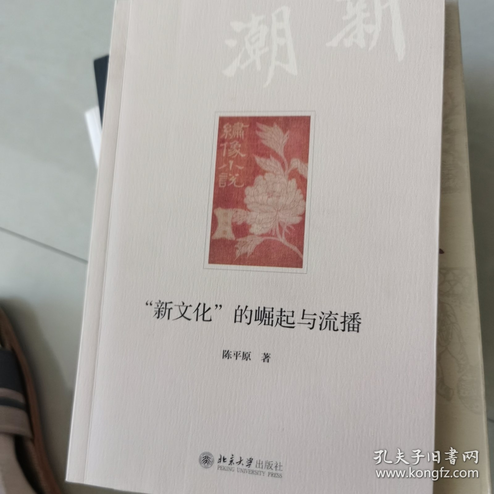 “新文化”的崛起与流播