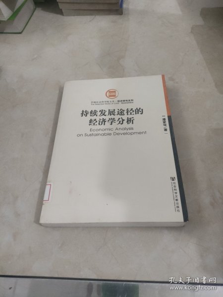 持续发展途径的经济学分析