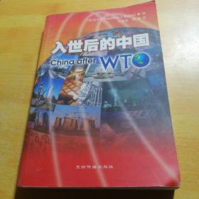 入世后的中国