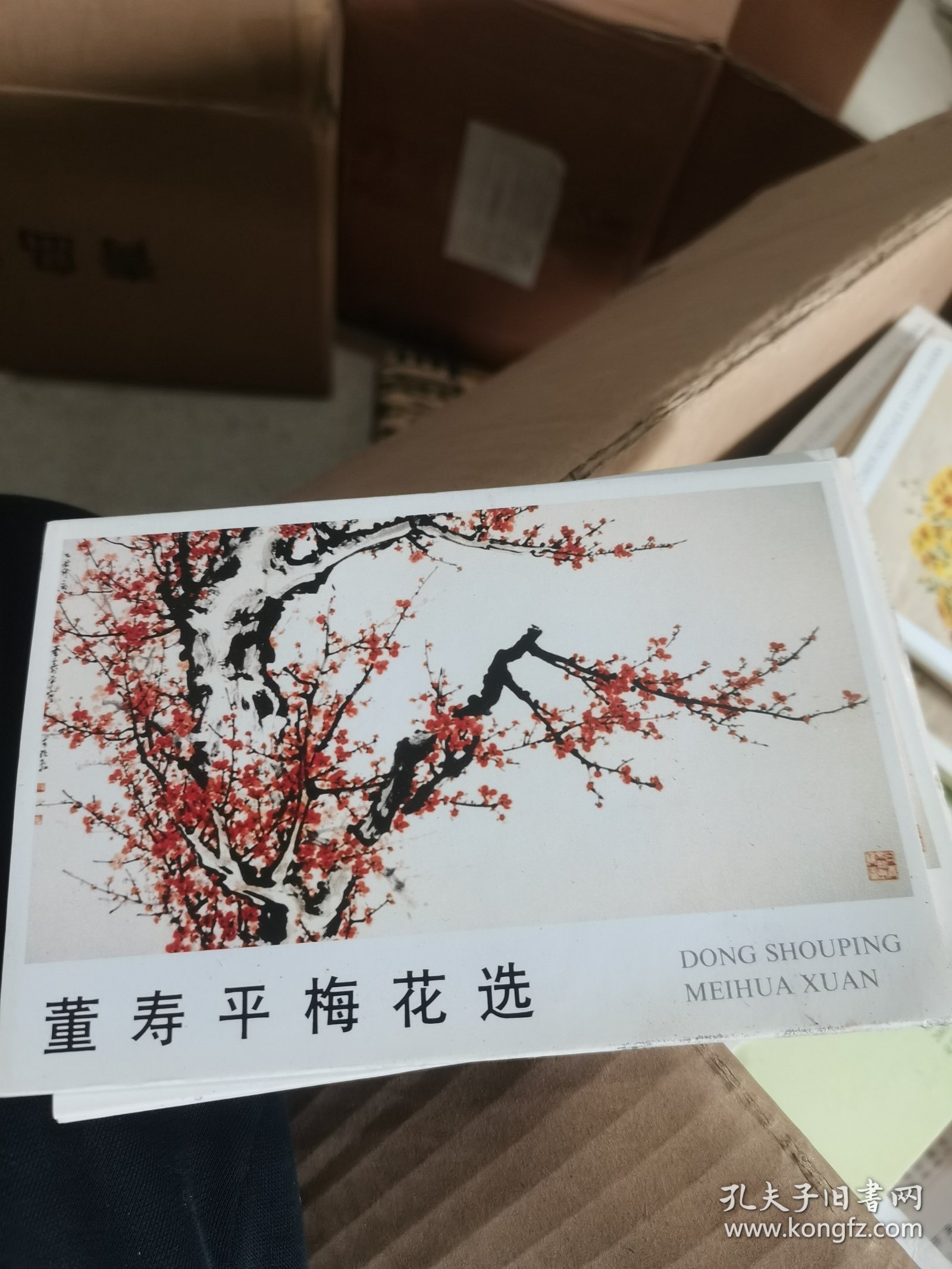 明信片 董寿平梅花选 10张 品相如图