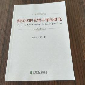 锥优化的光滑牛顿法研究