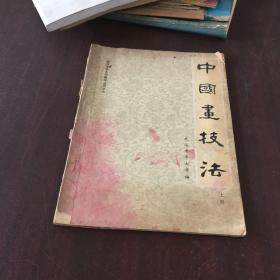 中国画技法 上
