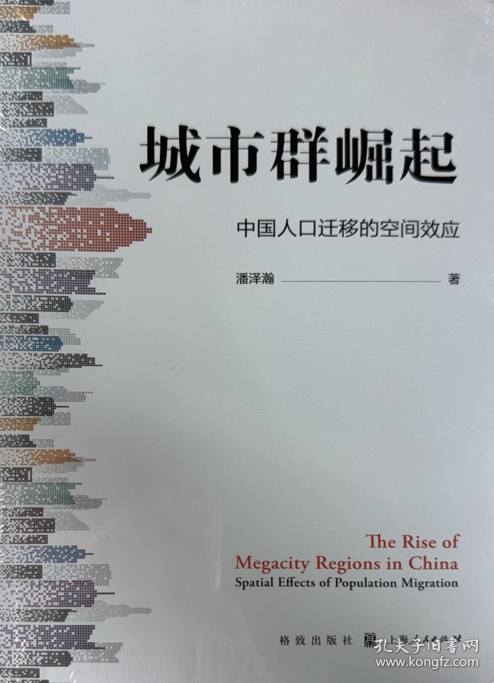 城市群崛起：中国人口迁移的空间效应 潘泽瀚 著 格致出版社