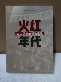 火红年代：大山深处的钢铁记忆【品如图，书脊有伤】