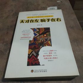 天才在左 疯子在右：国内第一本精神病人访谈手记