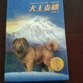 动物小说大王沈石溪·经典书系：犬王麦穗