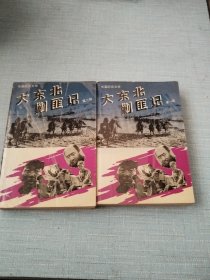 大东北剿匪记 2本合售