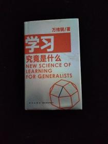 学习究竟是什么 得到App超过11万人都在学 万维钢通才丛书
