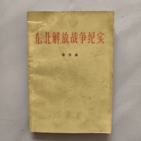 东北解放战争纪实