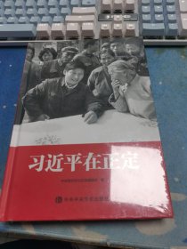 习近平在正定精装