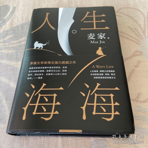 麦家：人生海海（茅盾文学奖得主麦家2019年强力之作）