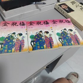 金瓶梅传奇上中下三册