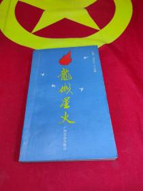 龍城星火 - 柳州革命斗爭故事集