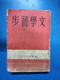 文学初步 300411