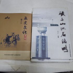 碾子山史志丛书 碾子山地名之略 碾子山五史文化专辑等 五本合售