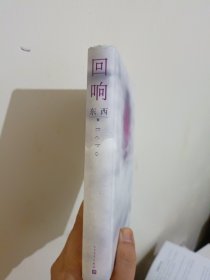 东西长篇力作：回响