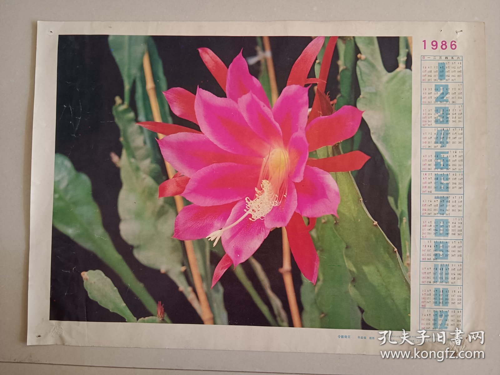 老年画 1986年历画 1985年山东美术出版