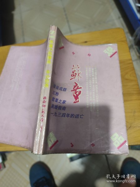 苏童小说精品