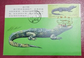T85《扬子鳄》-1邮票 极限明信片（盖南宁首日邮戳和纪念戳）