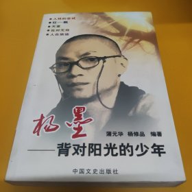 杨墨——背对阳光的少年