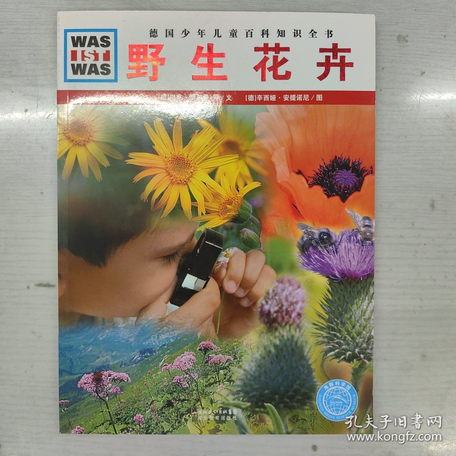 什么是什么：野生花卉