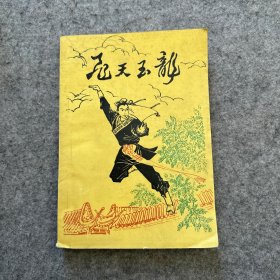 飞天玉龙