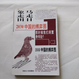 马走日.象走田-2030中国的搏弈图