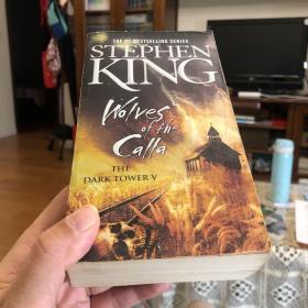 WolvesoftheCalla(TheDarkTower,Book5)
黑暗之塔5，原版