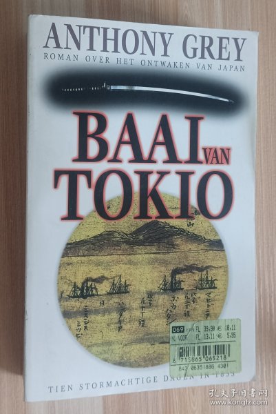 荷兰语书 De baai van Tokio by Anthony Grey (Author)