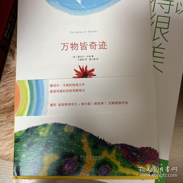 万物皆奇迹：好奇心是上帝给孩子最好的礼物