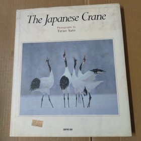 THE JAPANESE CRANE 丹顶鹤-日文