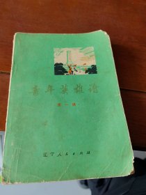 青年英雄谱（第一辑）