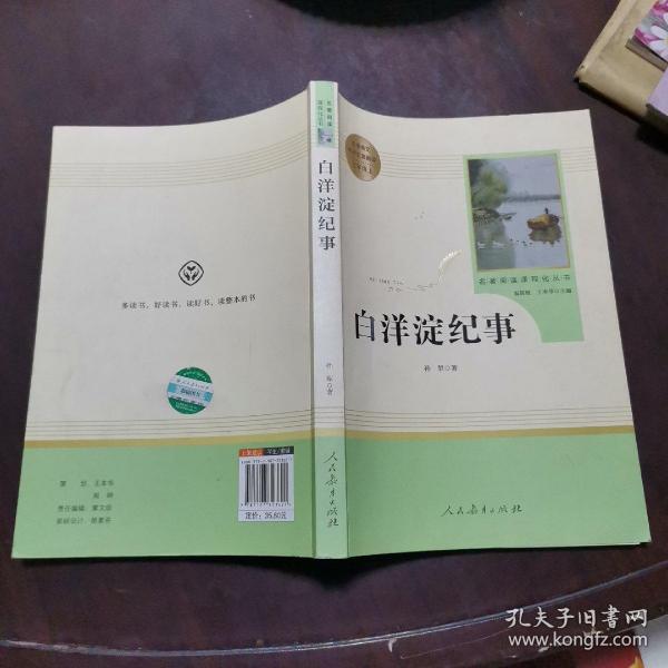 白洋淀纪事 名著阅读课程化丛书（统编语文教材配套阅读）七年级上