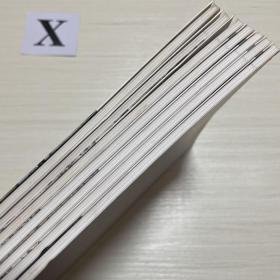中国当代精英画家系列：马践 、海立画集 、覃雄、湘龙画集 、许曾民山水画集、心君画集、王洁水彩画作品集、一共7本合售