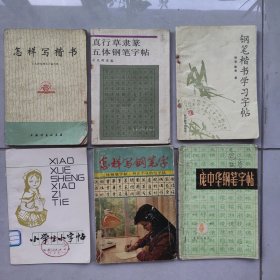 《钢笔楷书学习字帖》、《庞中华钢笔字帖》、《怎样写钢笔字》、《小学生小字帖》、《真行草隶篆五体钢笔字帖》、《怎样写楷书》，共6本合售，内容丰富，内页自然变旧，品相见图！