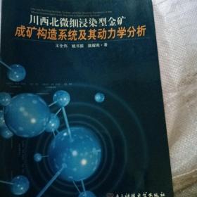 川西北微细浸染型金矿构造系统及其动力学分析