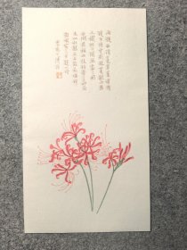 木版水印溥心畬石蒜花笺1张