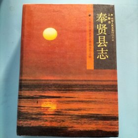 上海市奉贤县志