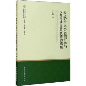 未成年人公益诉讼与责任的拓展 法学理论 王广聪 新华正版