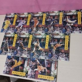 中国嵩山少林寺武功传世秘笈【大罗汉拳..螳螂拳.大洪拳.朝阳拳.通臂拳.五形拳.猴拳.地趟梅花拳.小罗汉拳.三路炮拳.七星螳螂拳】11本