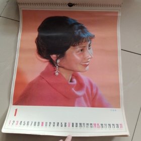 1982年明星挂历（13张全）