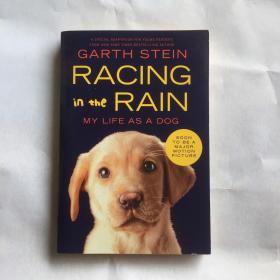 英文原版 Racing in the Rain: My Life as a Dog 雨中赛车：我的狗生活