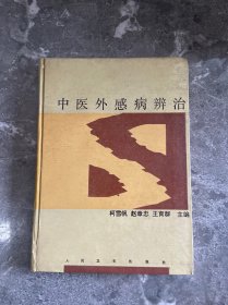 中医外感病辨治