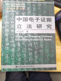 中国电子证据立法研究