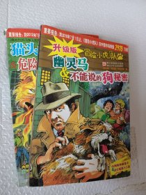 升级版冒险小虎队，幽灵马＆不能说的狗秘密，挺进版冒险小虎队，猫头里的秘密，危险的北欧海盗，无解密卡，蒙面人在行动强盗谷，3本可选择购买